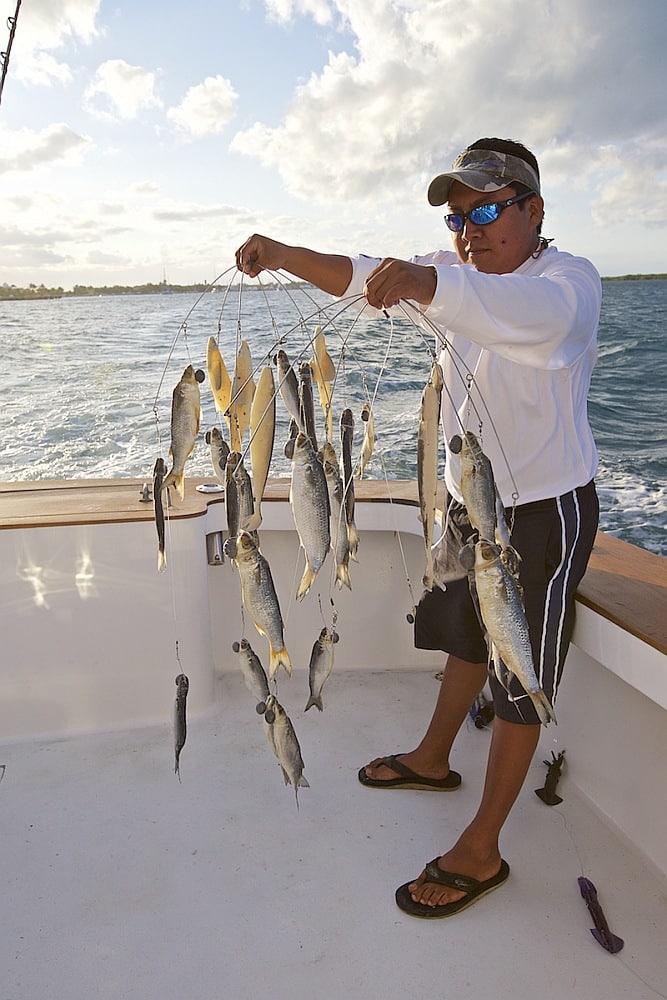 Offshore fishing mullet dredge