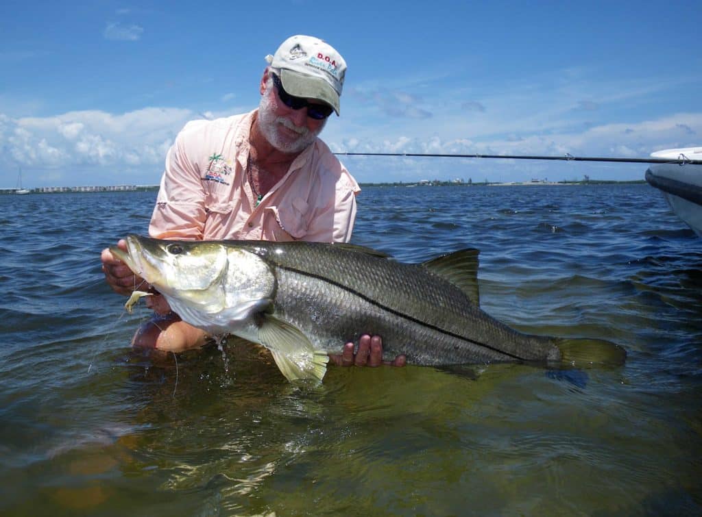 Snook caught in Florida