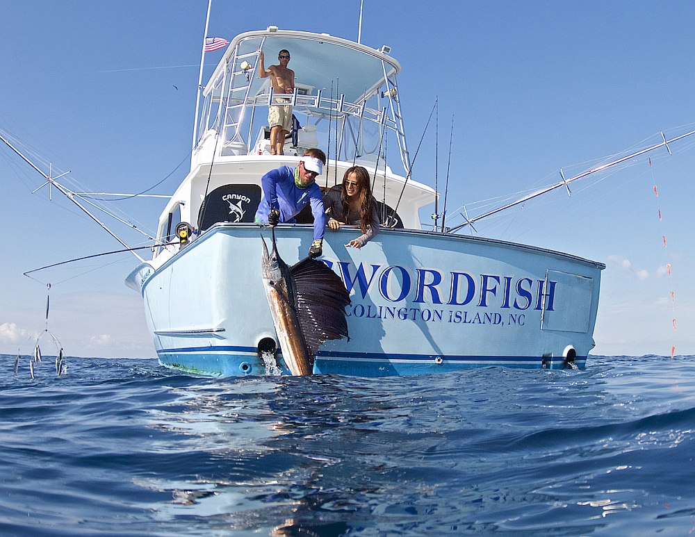 Angler releasing a sailfish in Isal Mujeres, Mexico, from a fishing boat