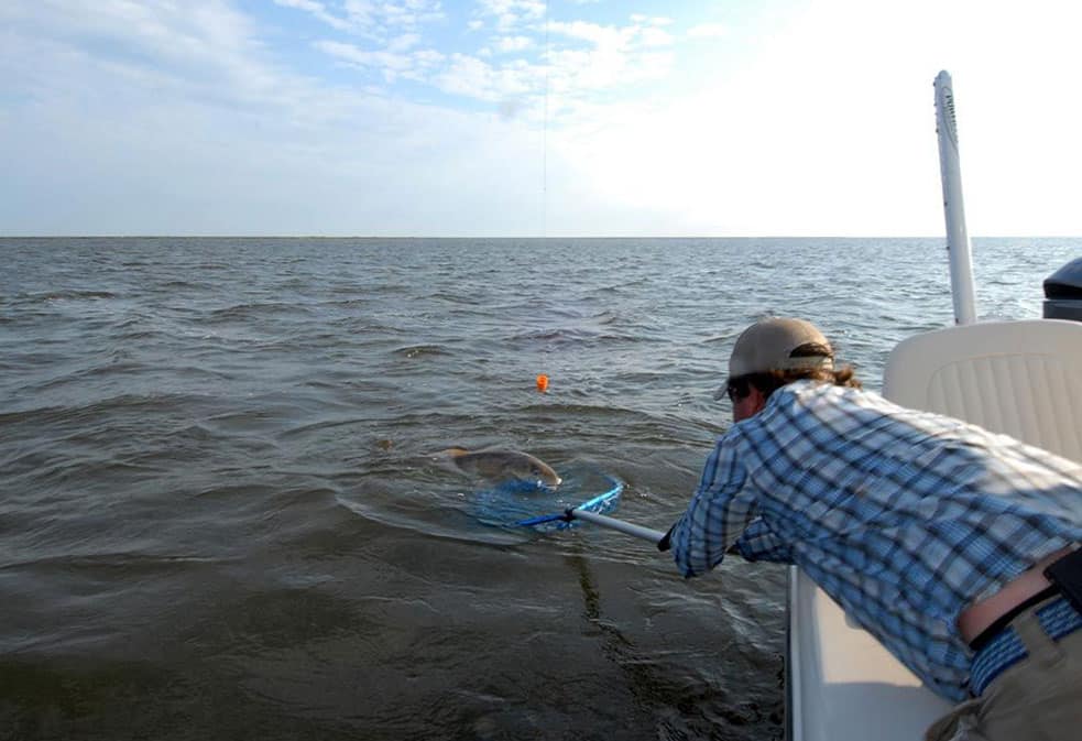 Angler reaching fishing net off side of fishing boat