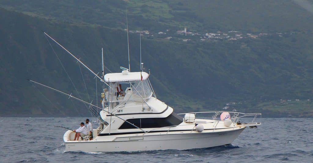 A 600 sulks in deep water for Nola off the north coast of Faial Island.