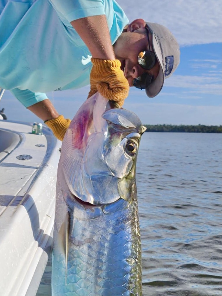 Nice tarpon brought boatside