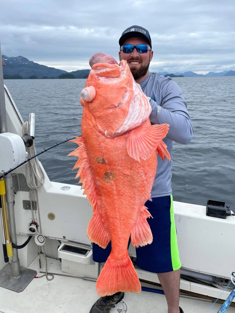 Alaska shortraker rockfish