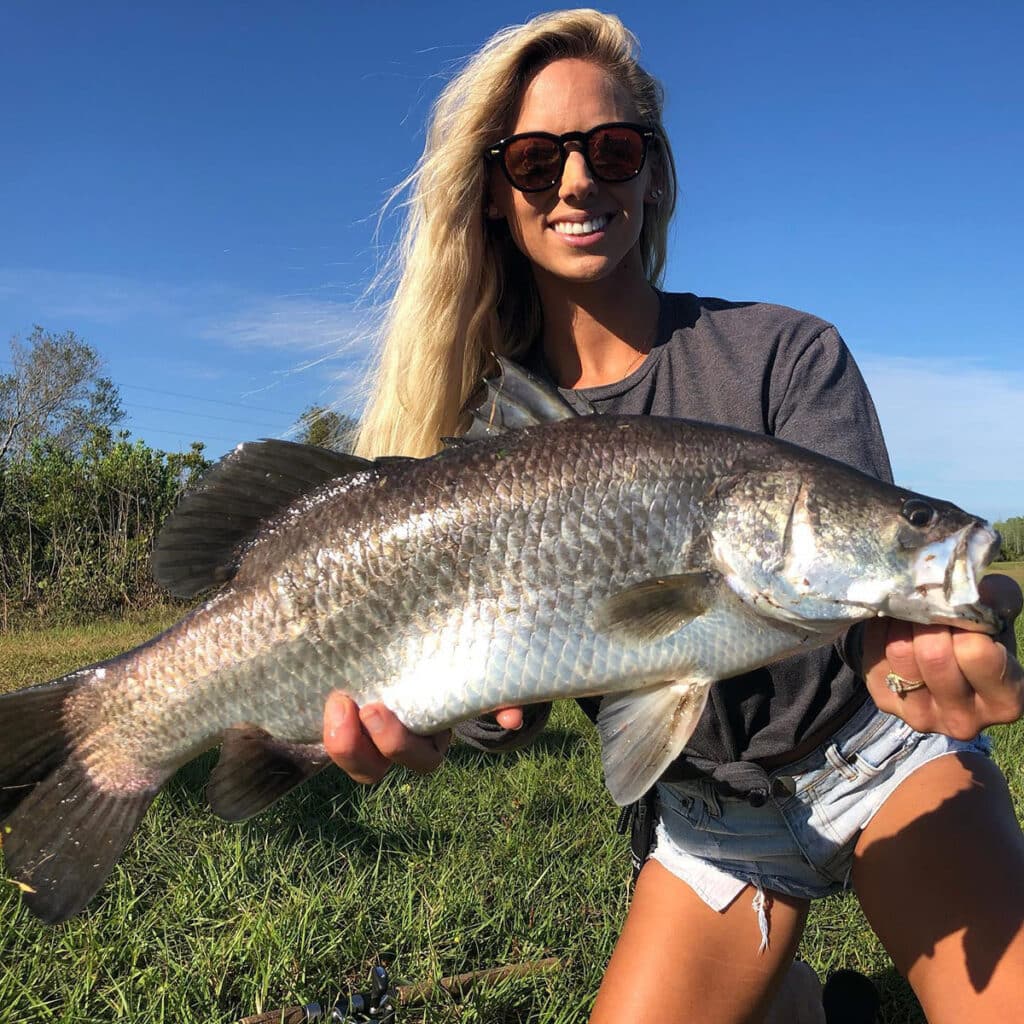 Barramundi in Florida