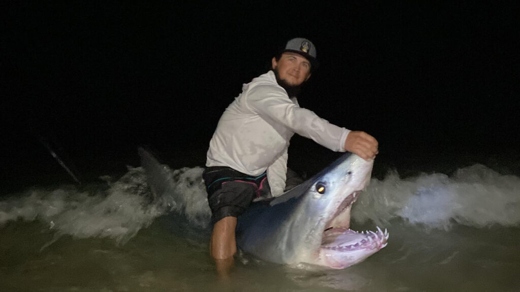 shortfin mako shark caught on Florida beach