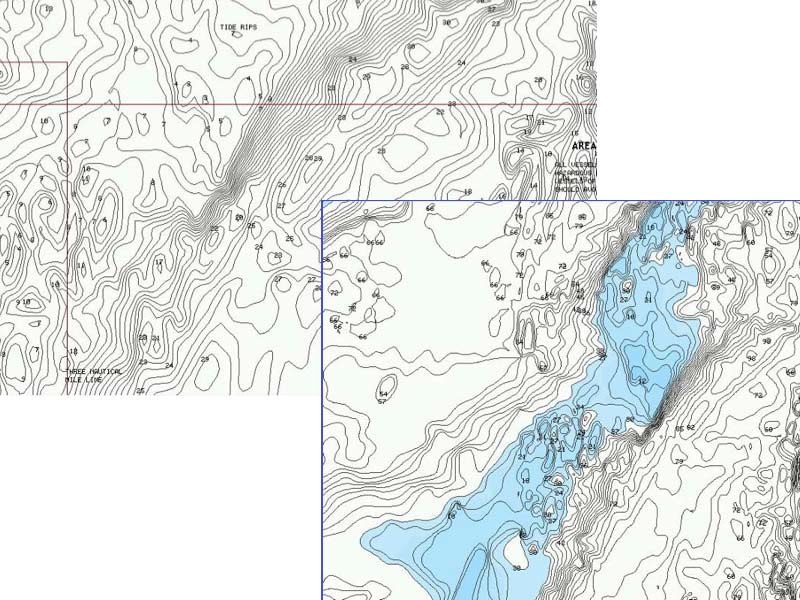 Navionics Fish Layer