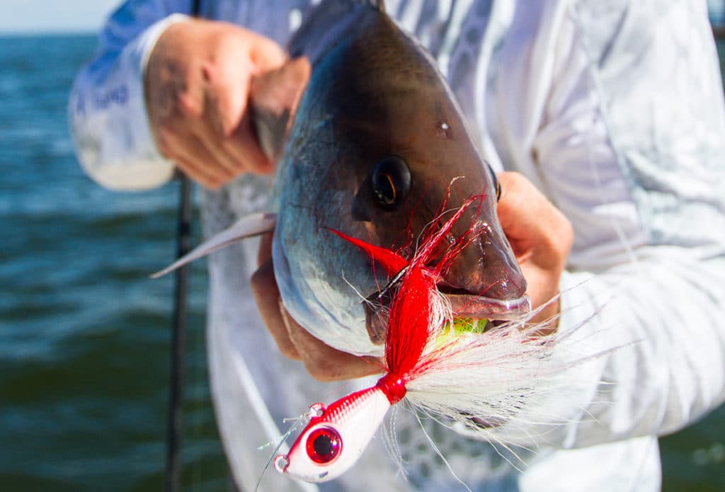 mangrove snapper Mustad bucktail jig