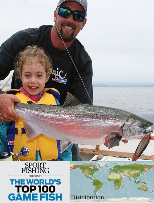 coho salmon