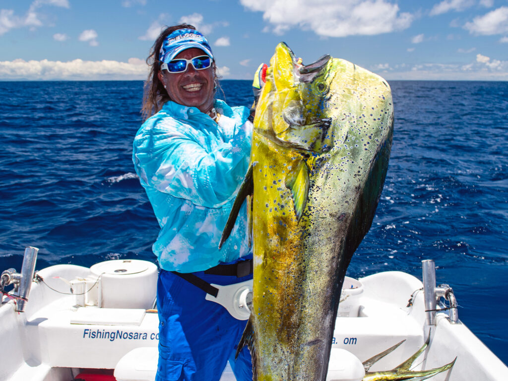 Costa Rica bull dorado