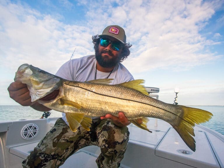 Flamingo Everglades snook