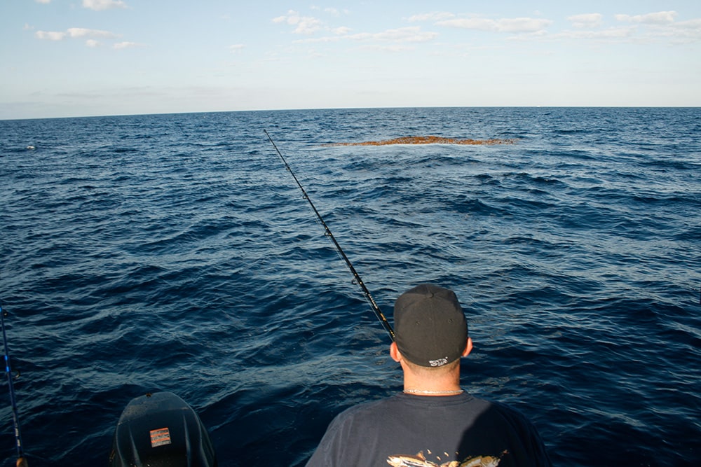 fishing near weeds