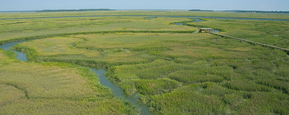 South Georgia Marsh Kayak Fishing