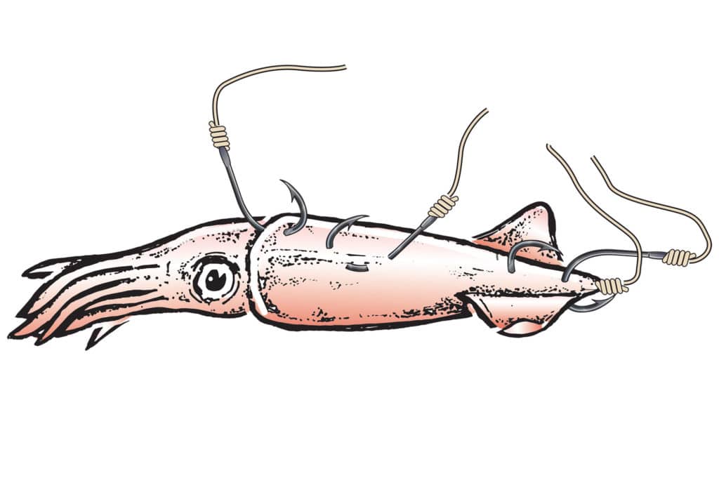 Capt. Mark Wisch's tips for hooking opalescent squid