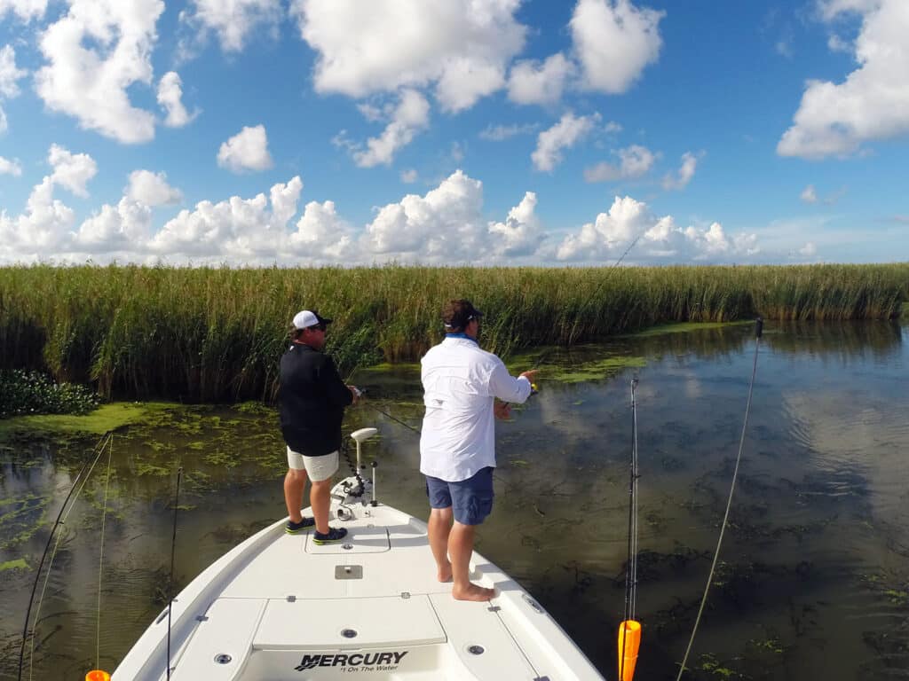 fishing the marsh