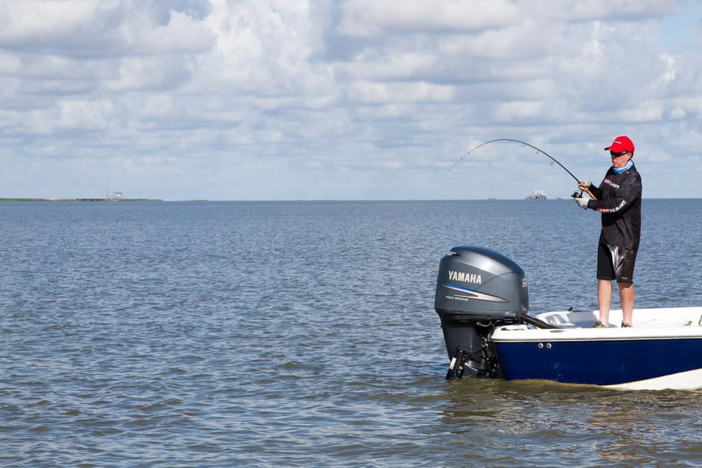 bull redfish in the bay