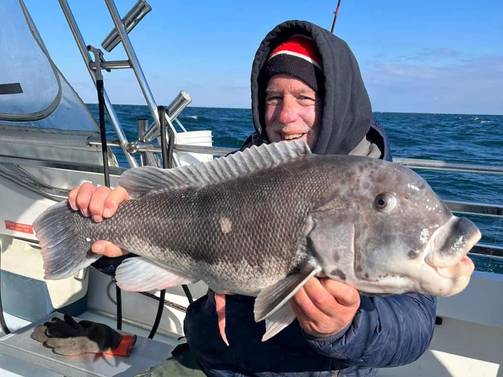 winter tautog