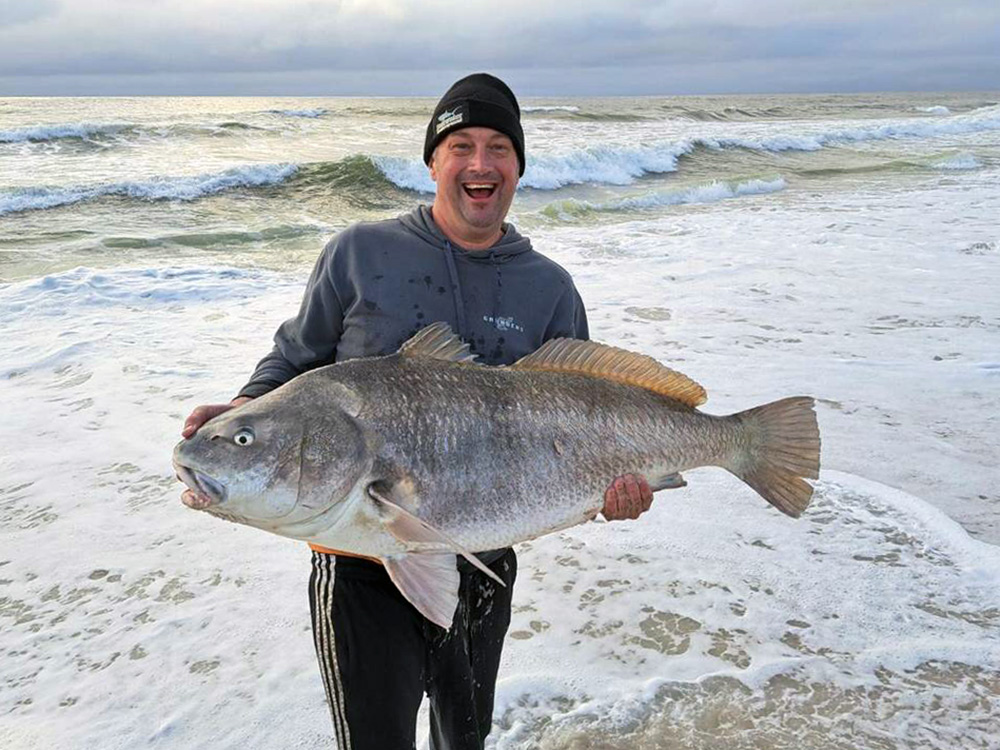 Black drum New Jersey