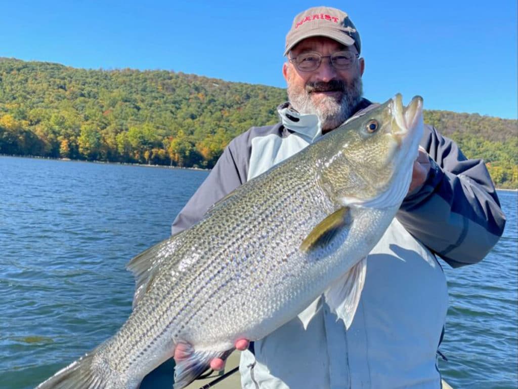 John Vayda Striped Bass