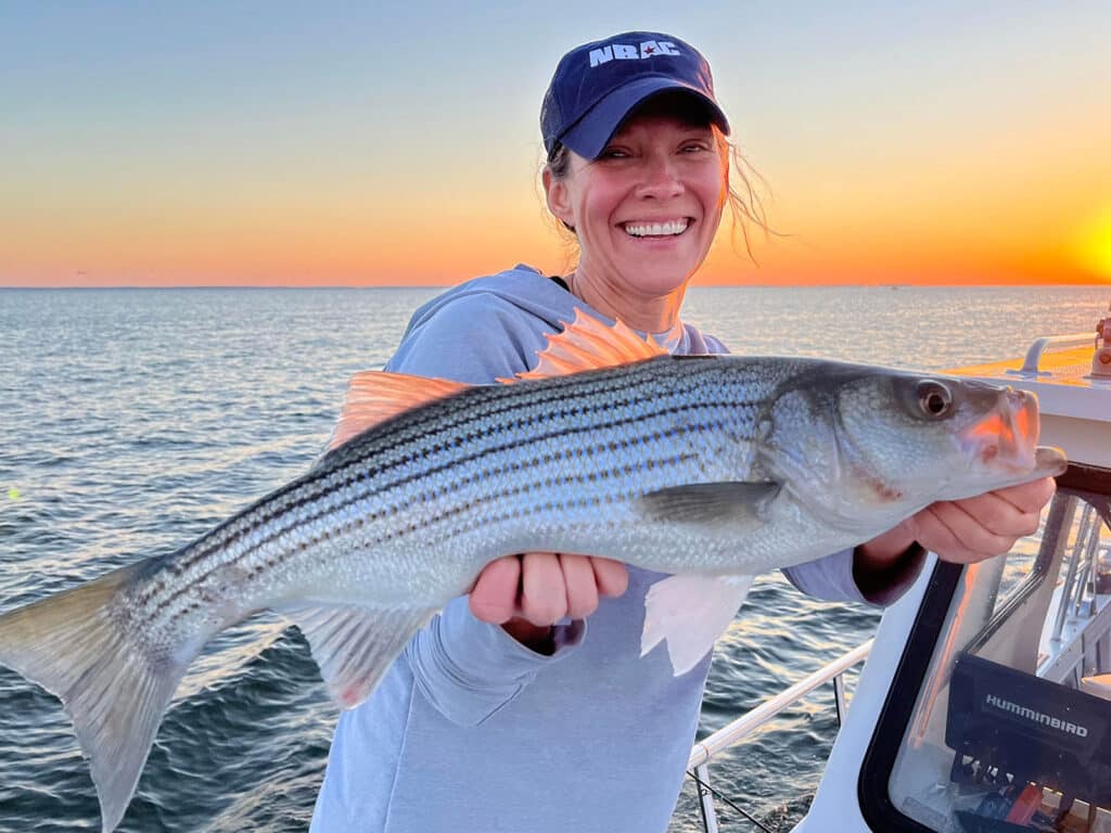 Maryland striped bass