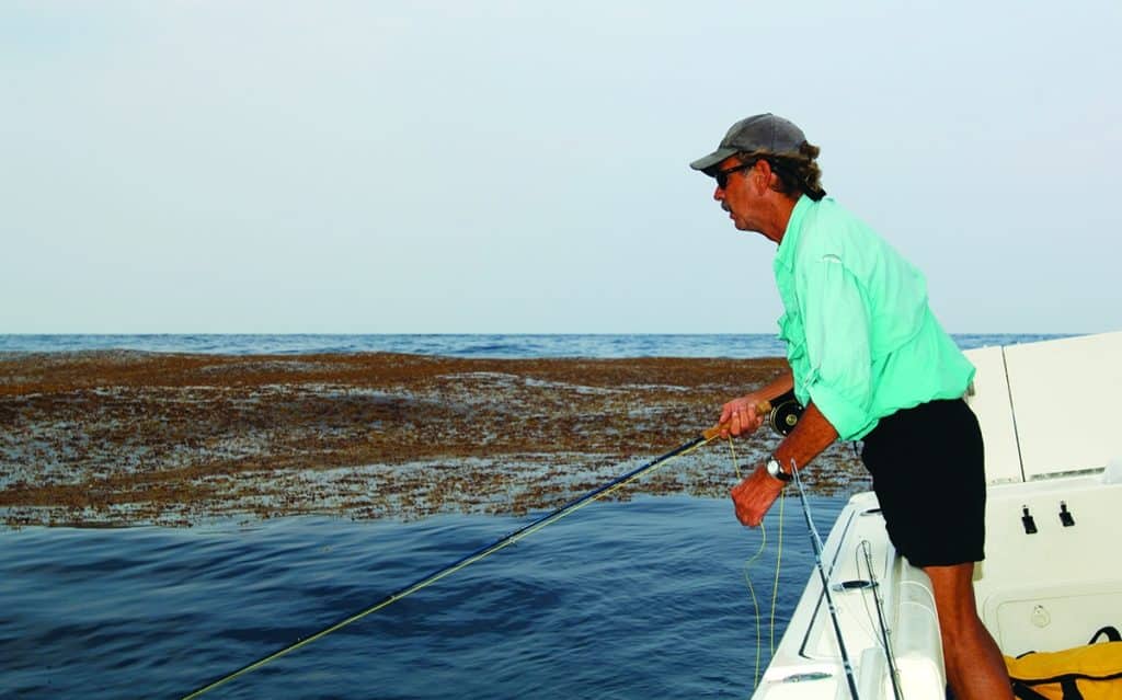 Fly-fishing a weedline