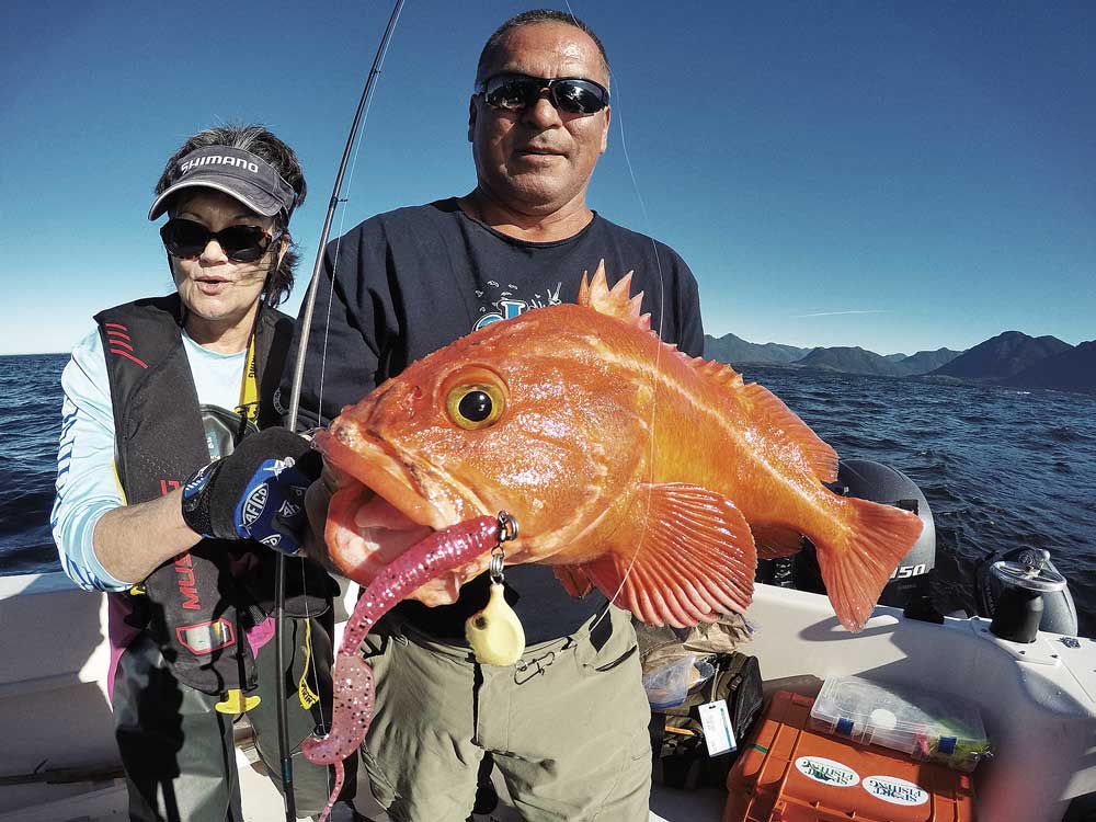 A lovely yelloweye rockfish on Canada's British Columbia coast.