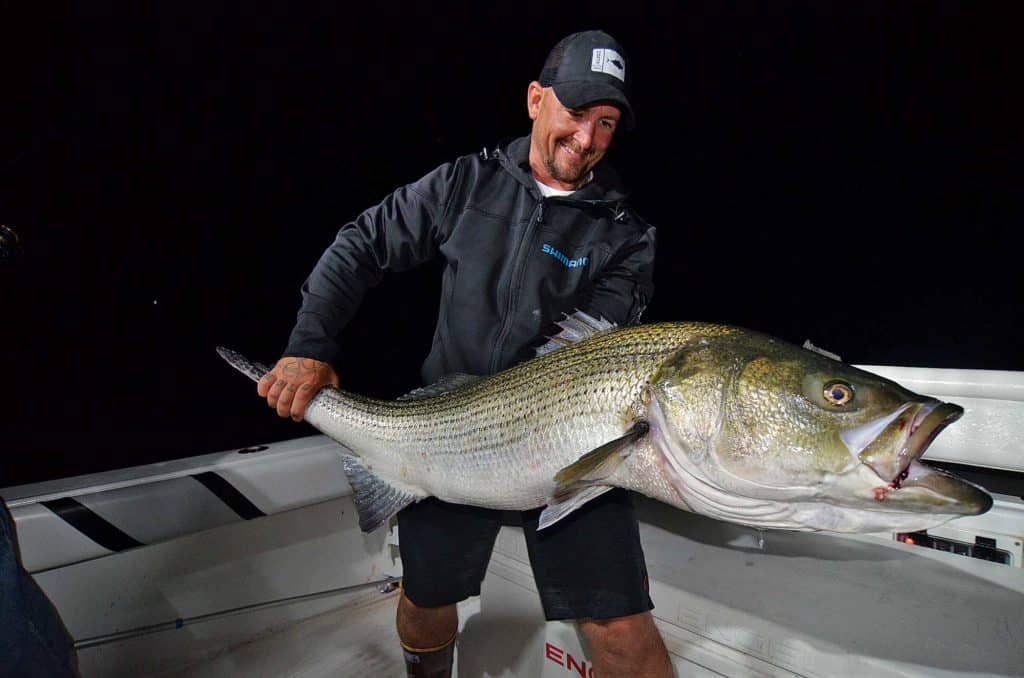 Giant Stripers and Bluefin off Block Island