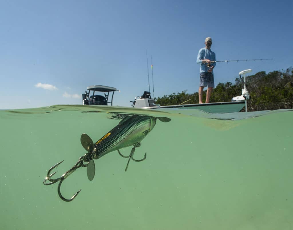 Topwater-Lure Tricks of Inshore Experts