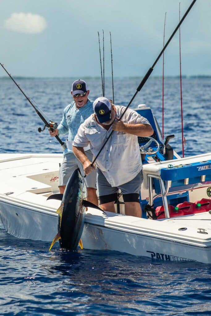 yellowfin tuna bahamas