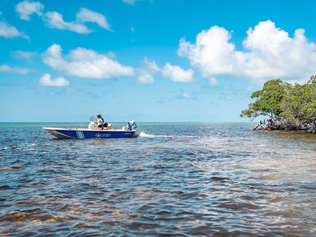 Skiff in shallow water