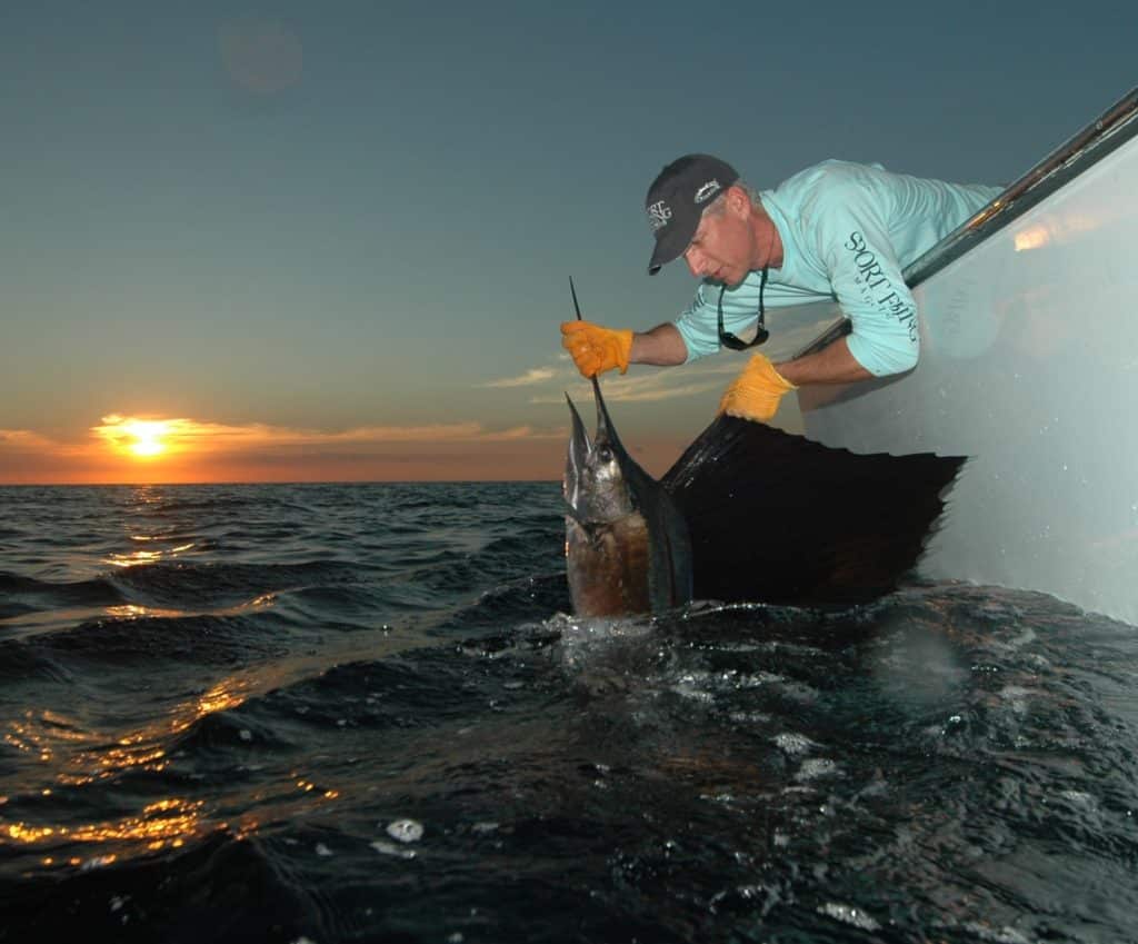 sailfish release