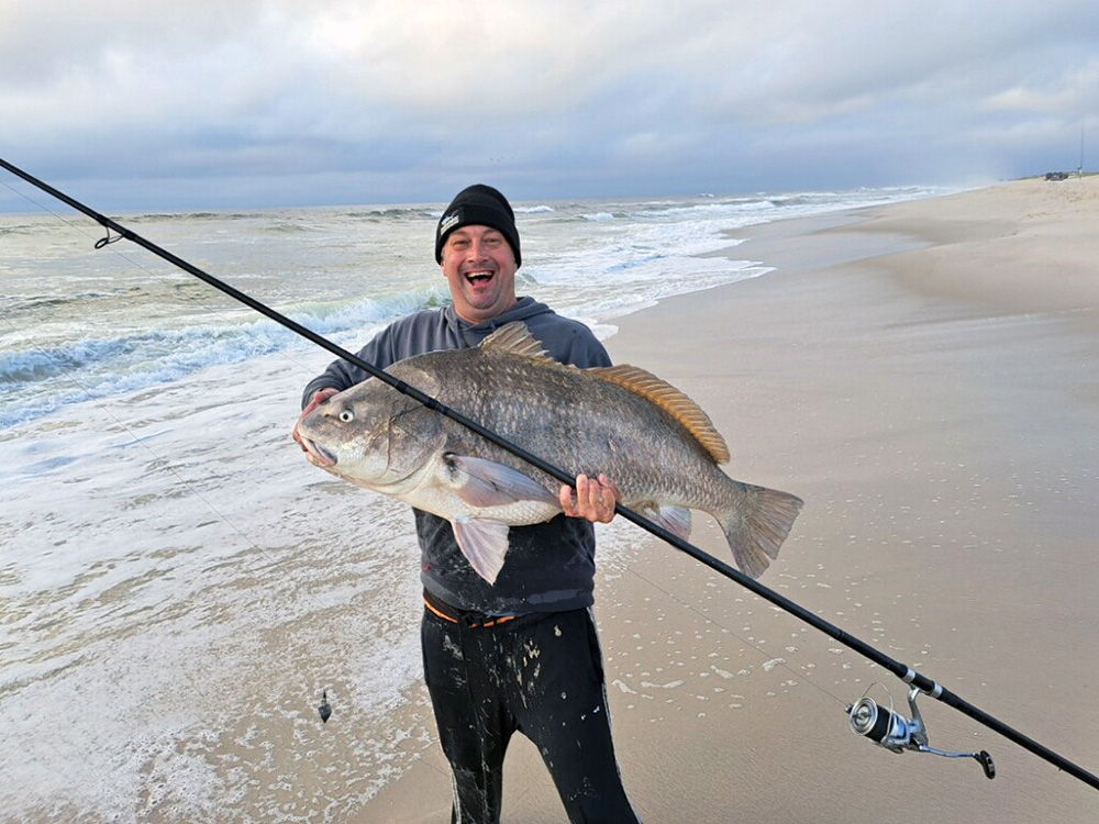 Black drum surf fishing