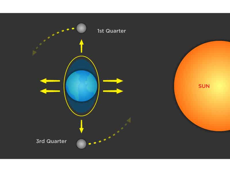 neap tide diagram